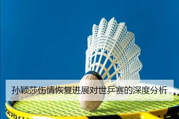 孙颖莎伤情恢复进展对世乒赛的深度分析
